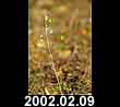 2002.02.09