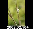 2002.02.10