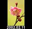 2002.02.11