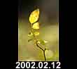 2002.02.12