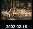 2002.02.15