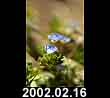 2002.02.16