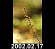 2002.02.17