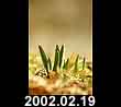 2002.02.19