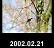2002.02.21