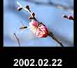 2002.02.22