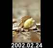 2002.02.24