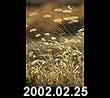 2002.02.25