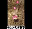 2002.02.26
