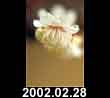 2002.02.28