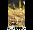 2002.03.02