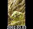 2002.03.03