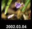 2002.03.04