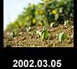 2002.03.05