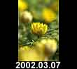 2002.03.07