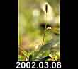 2002.03.08
