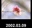 2002.03.09