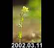 2002.03.11