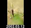 2002.03.12