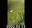 2002.03.13