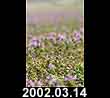 2002.03.14