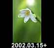 2002.03.15