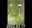 2002.03.17