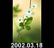 2002.03.18