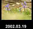 2002.03.19