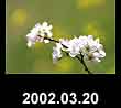 2002.03.20