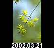 2002.03.21