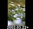 2002.03.22