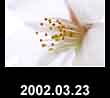 2002.03.23