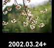 2002.03.24