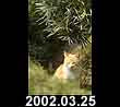2002.03.25