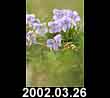 2002.03.26
