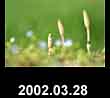 2002.03.28