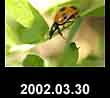2002.03.30