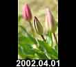 2002.04.01
