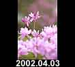 2002.04.03