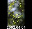 2002.04.04