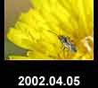 2002.04.05