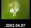 2002.04.07