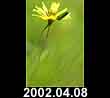 2002.04.08