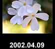 2002.04.09