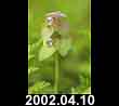 2002.04.10