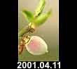 2002.04.11