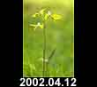 2002.04.12