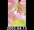 2002.04.13