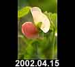 2002.04.15
